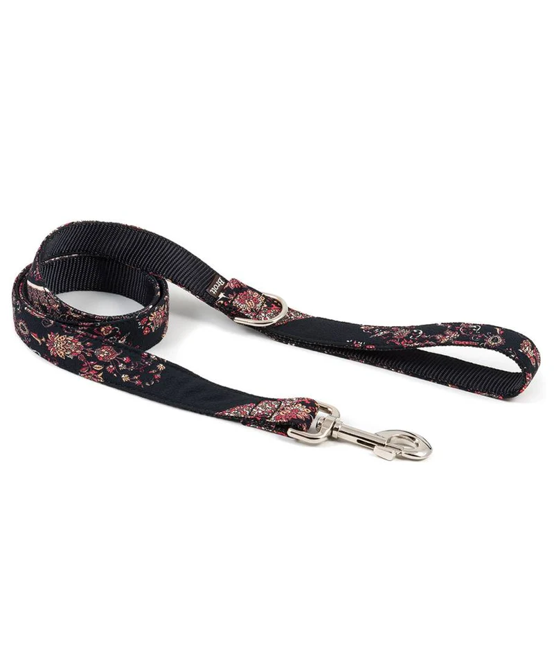 Laisse pour chien Mieres