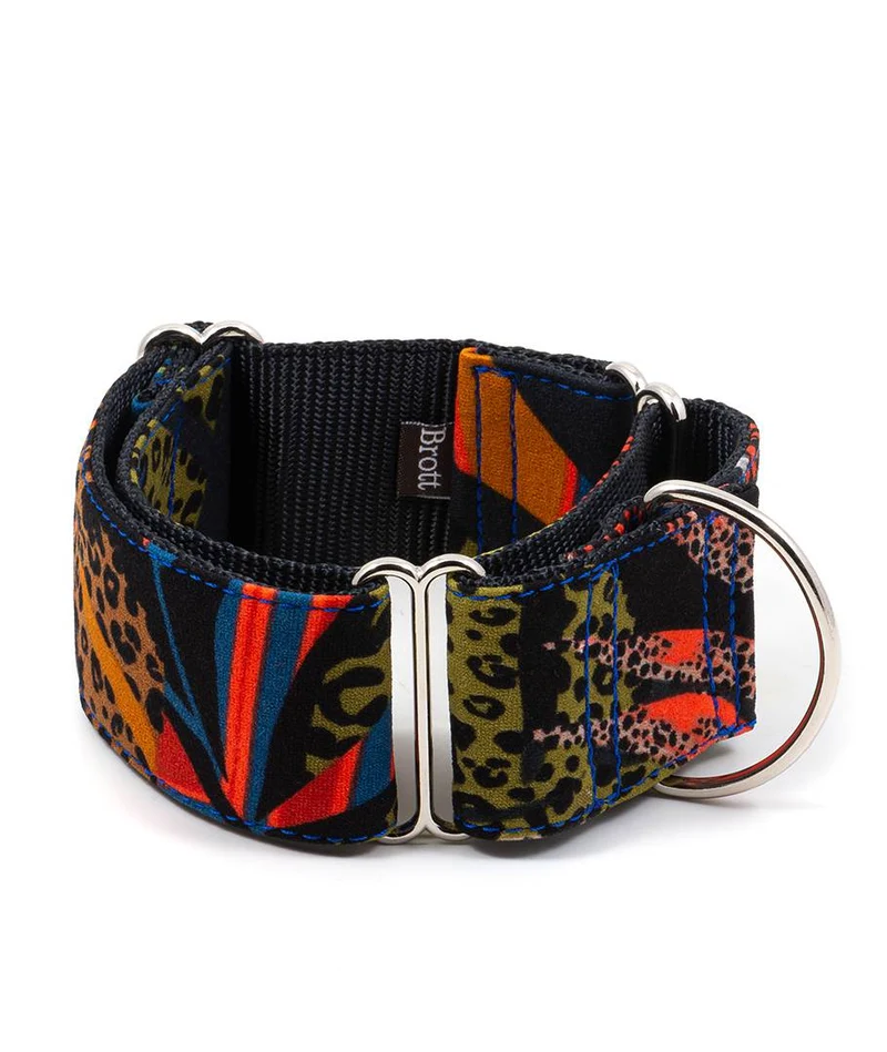 Collier pour chien Miramar