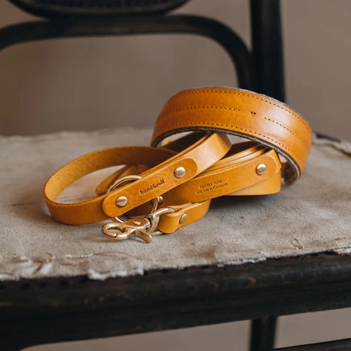 Laisse fine pour chien en cuir ajustable Lasso Air Band & Roll