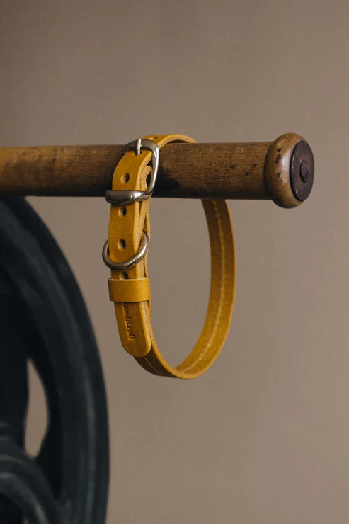 Collier pour chien en cuir Fir Air Band & Roll