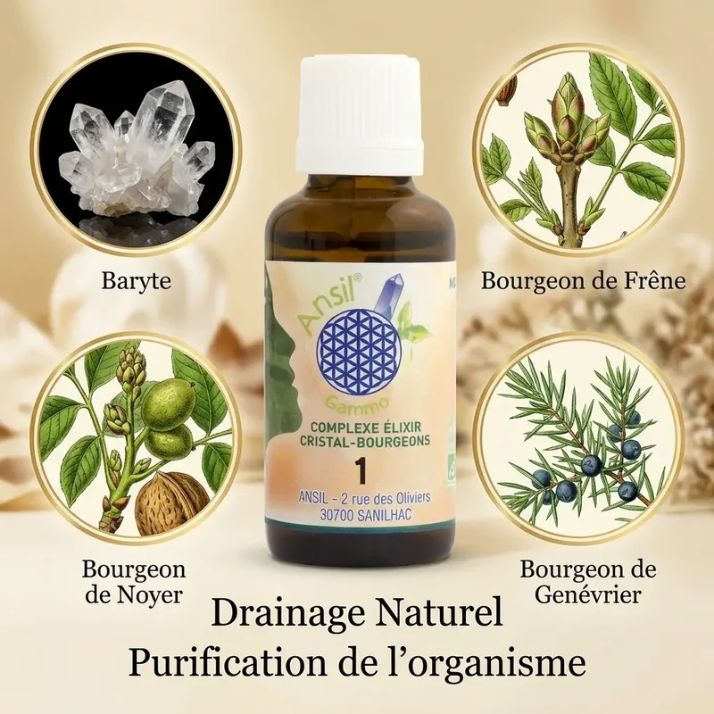 Complexe bio de Baryte, Frêne, Noyer et Genévrier - 30 ml - Ansil