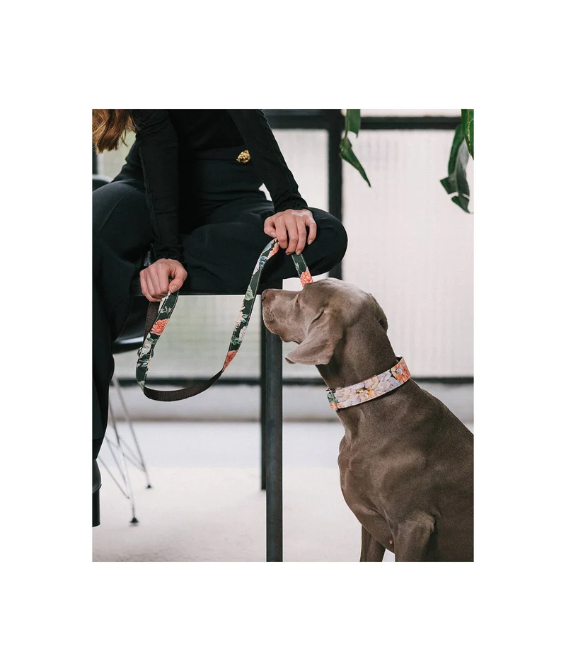 Laisse pour chien Espelt