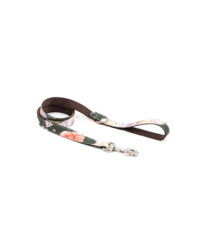 Collier pour chien Espelt