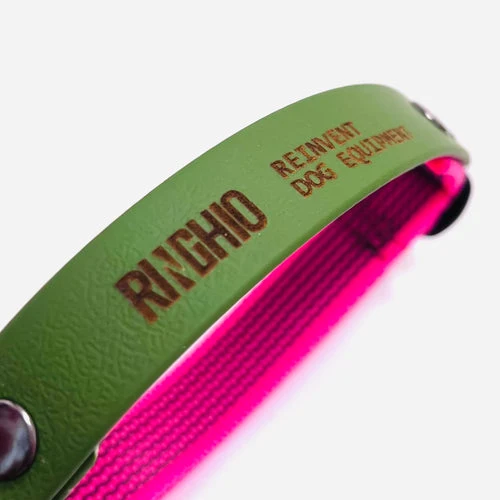 Collier DUO imperméable pour chien