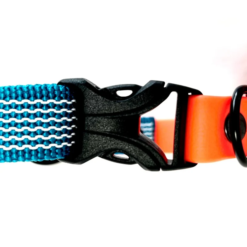 Collier DUO imperméable pour chien