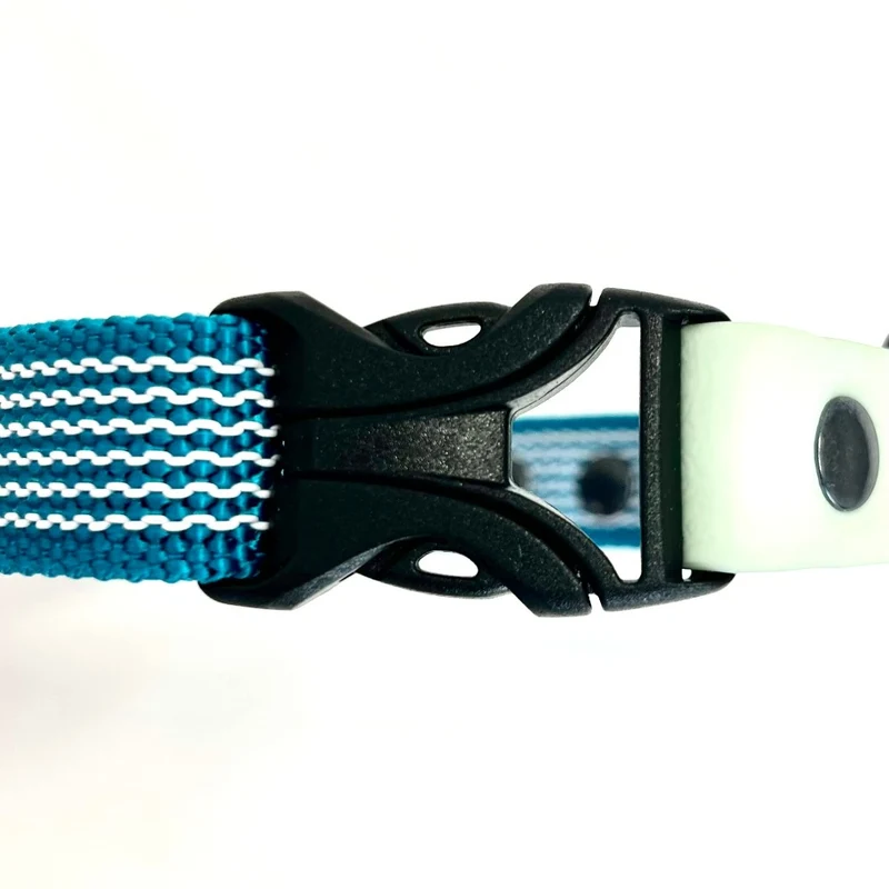 Collier DUO imperméable pour chien