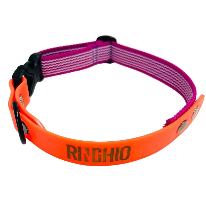 Collier DUO imperméable pour chien