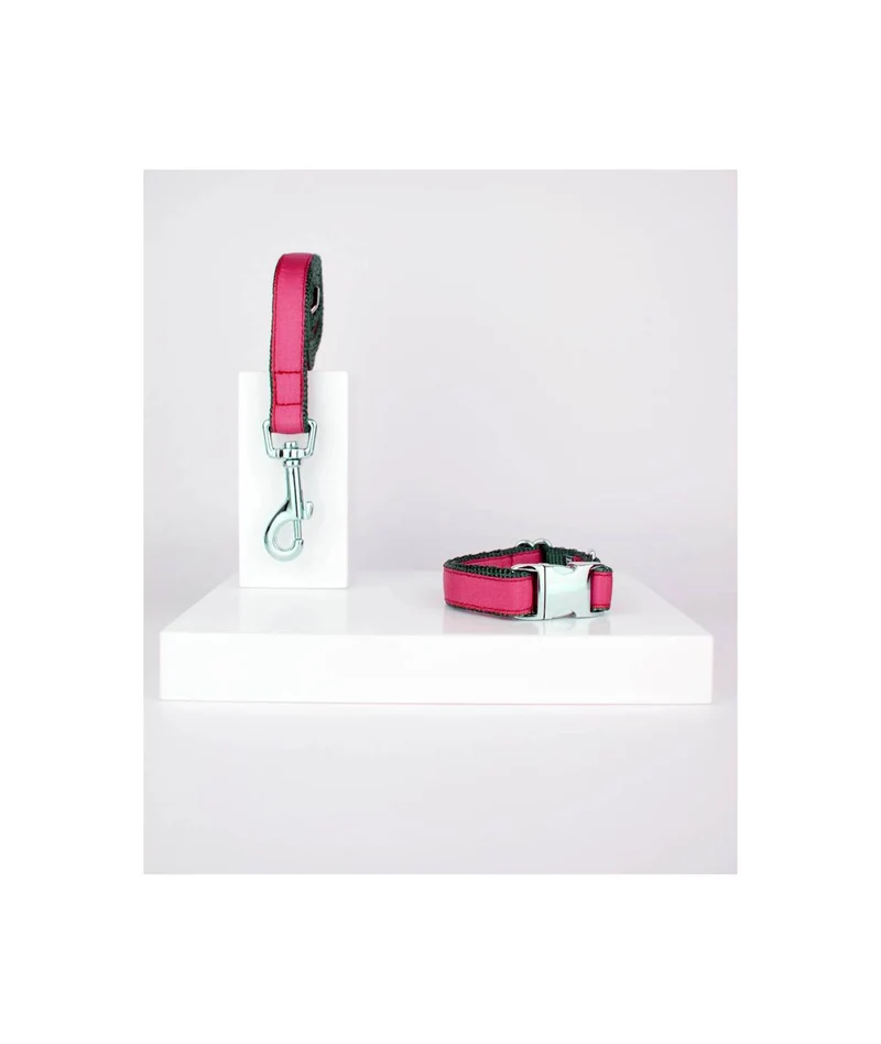 Collier pour chien Strawberry