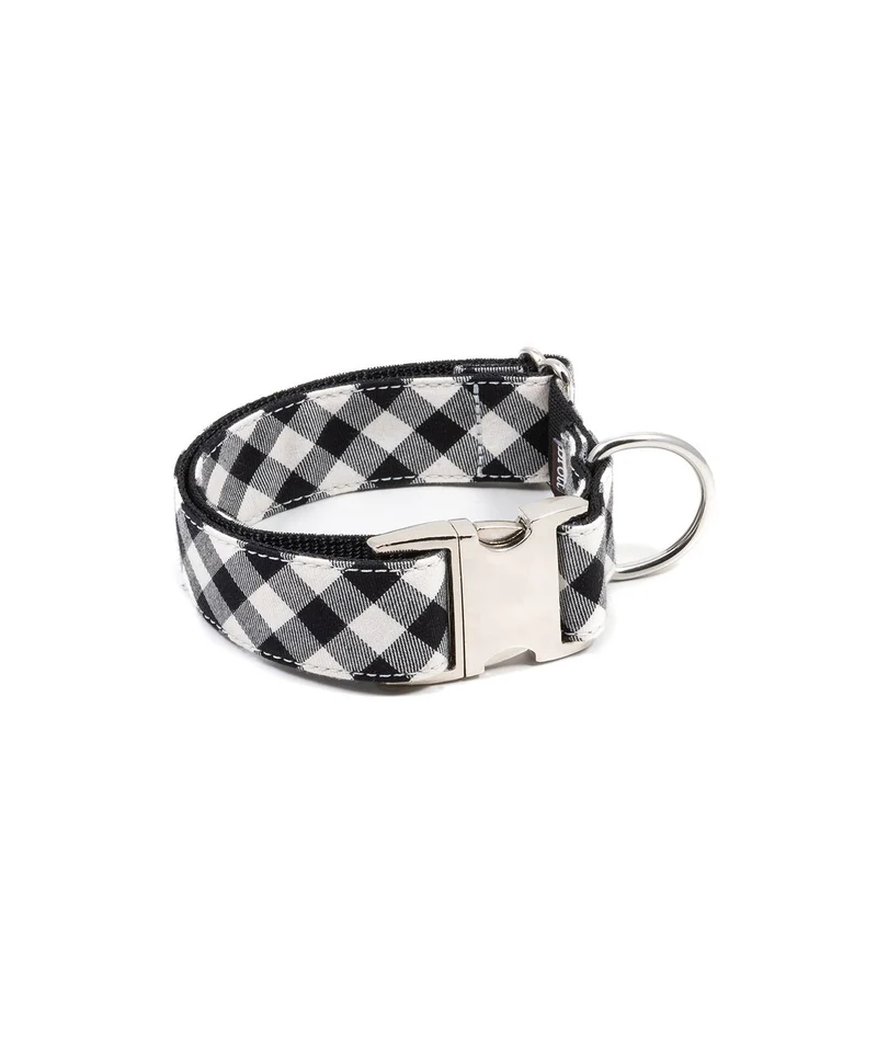 Collier pour chien Cadi