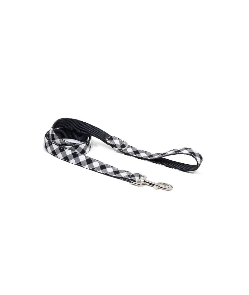 Collier pour chien Cadi
