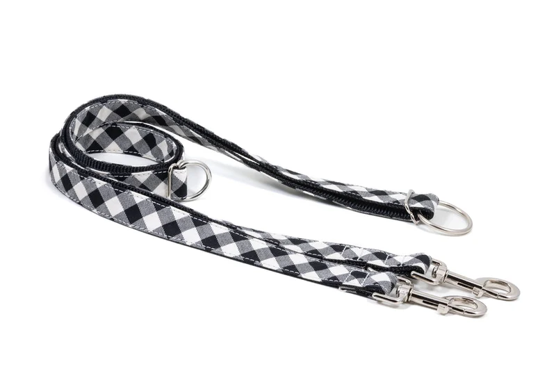 Laisse pour chien Cadi