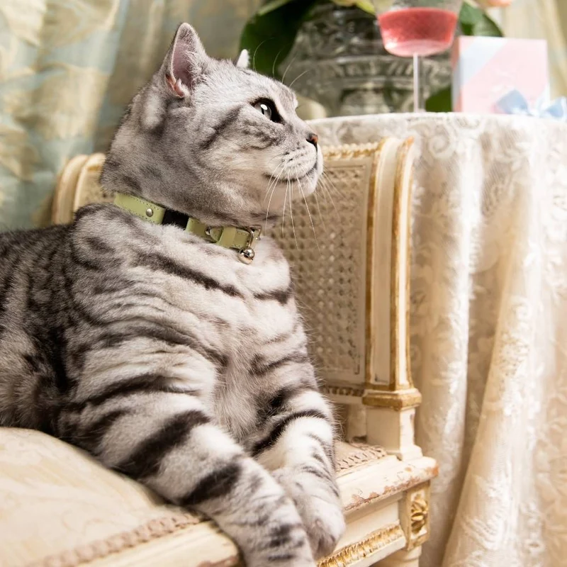 Collier pour chat Rococo (3 couleurs)