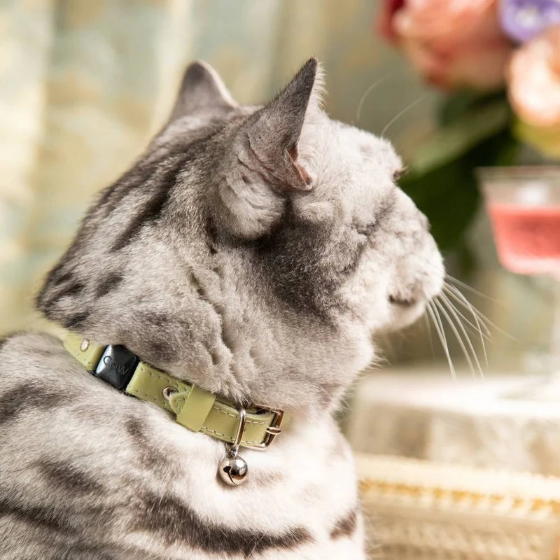 Collier pour chat Rococo (3 couleurs)