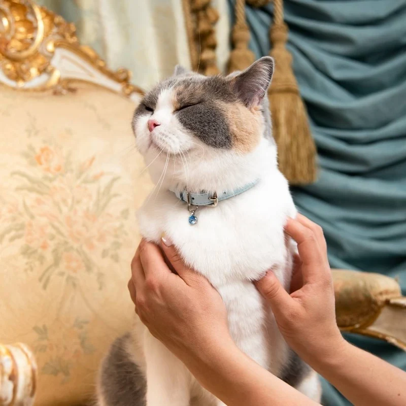 Collier pour chat Rococo (3 couleurs)