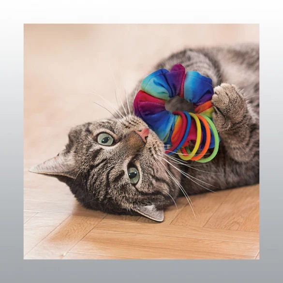 Kong active chouchou avec élastiques pour chat