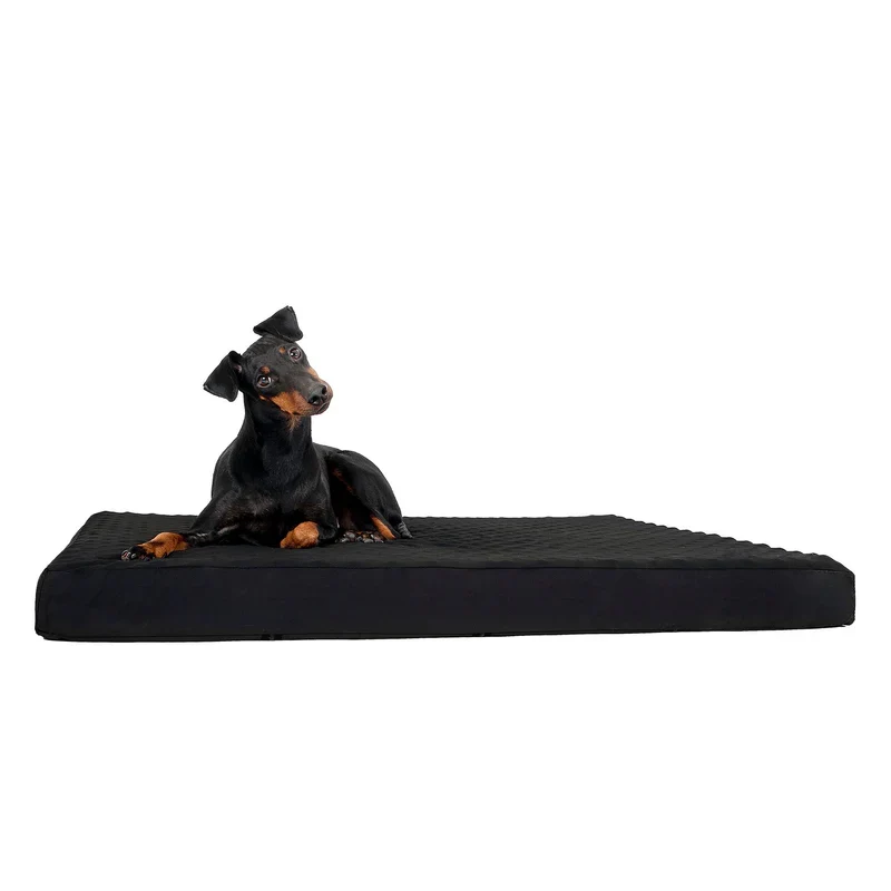 Back On Track Matelas pour chien