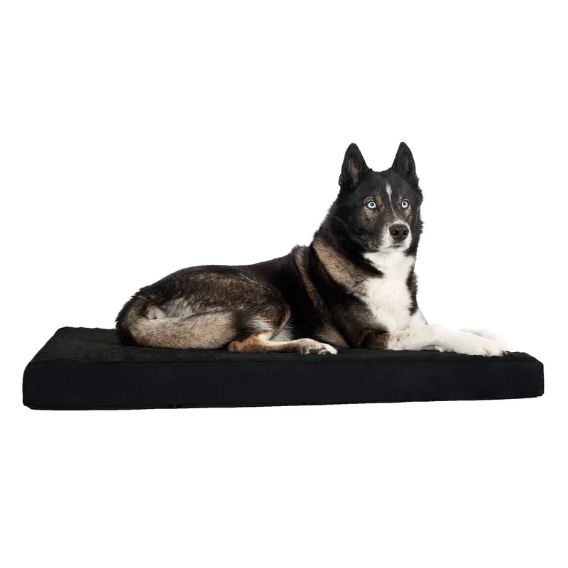 Back On Track Matelas pour chien
