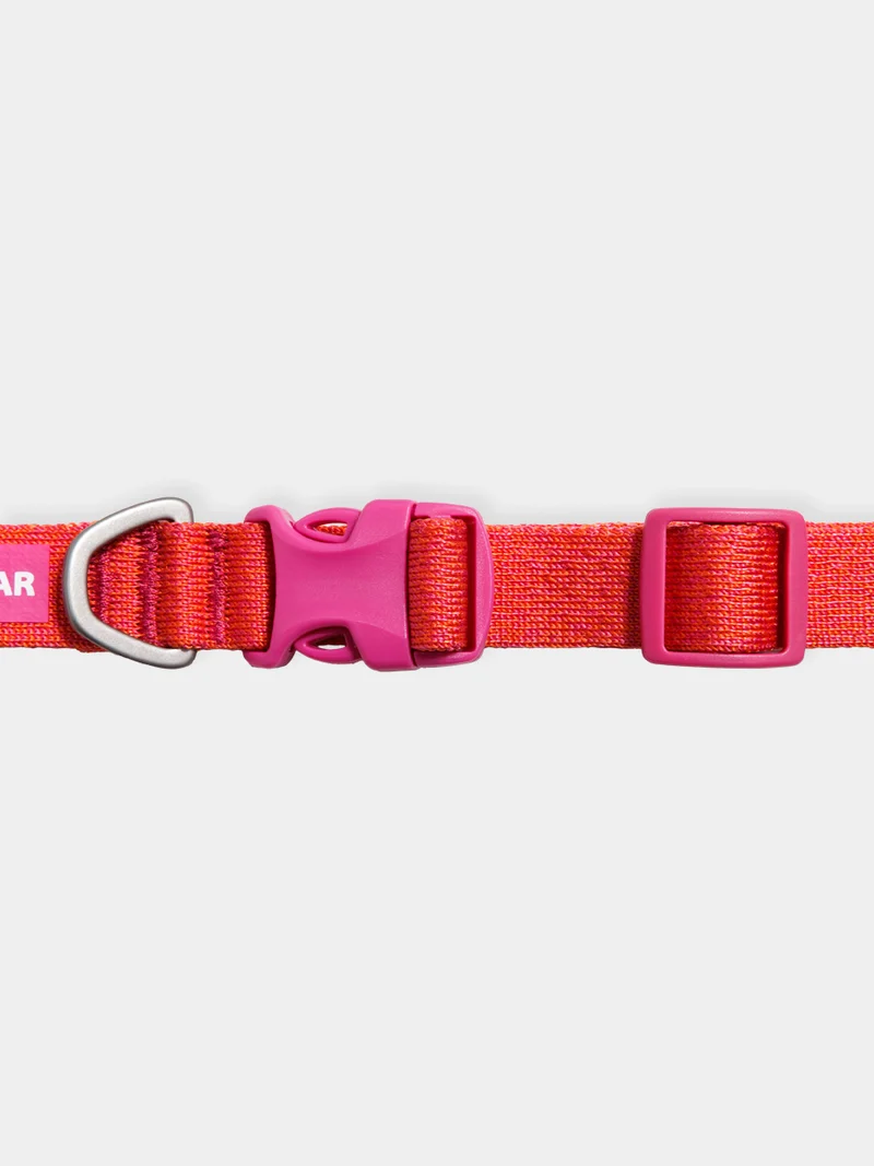 Collier pour chien Ruffwear - Front Range Flex collar - Rose-Violet