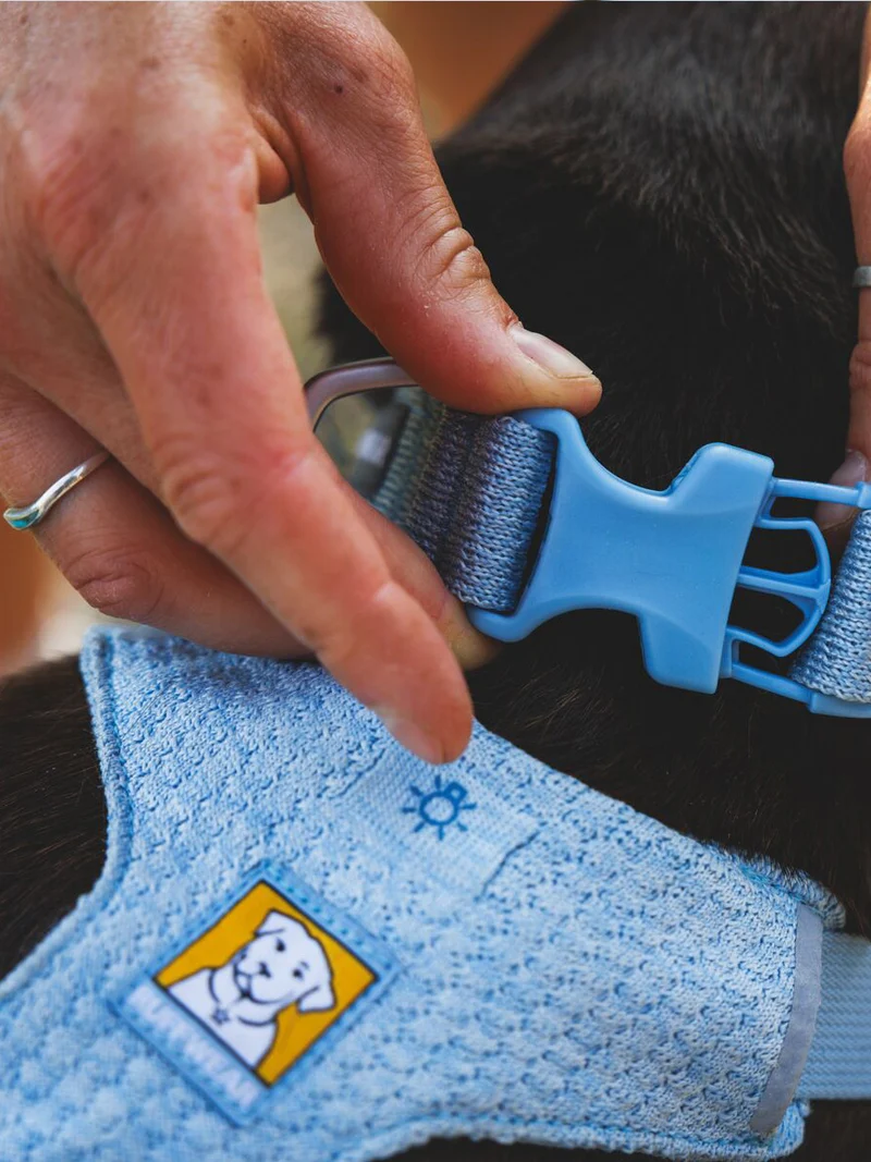 Collier pour chien Ruffwear - Front Range Flex collar - Bleu Polaire