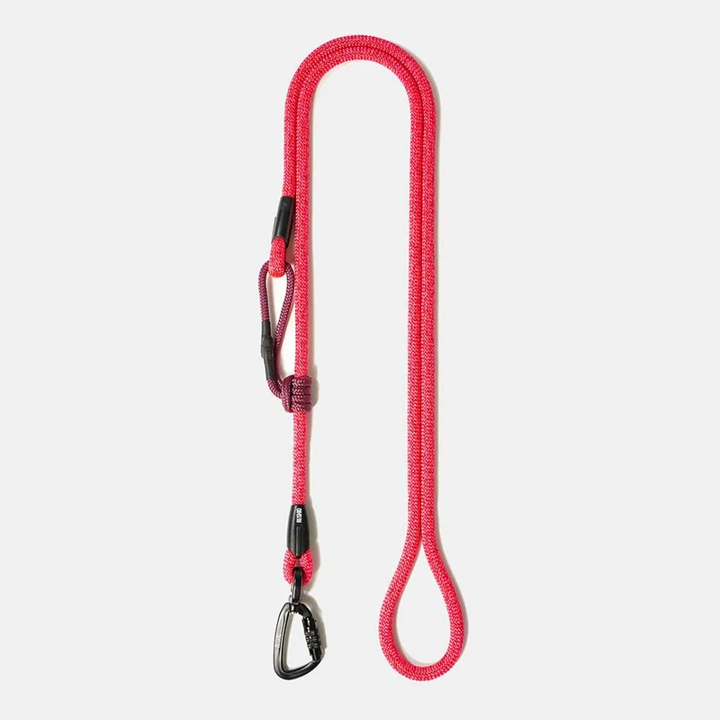 Laisse pour chien en corde et mousqueton d'escalade