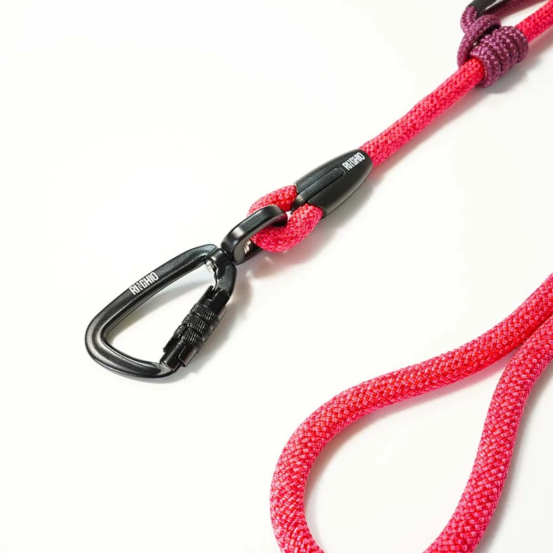 Laisse pour chien en corde et mousqueton d'escalade