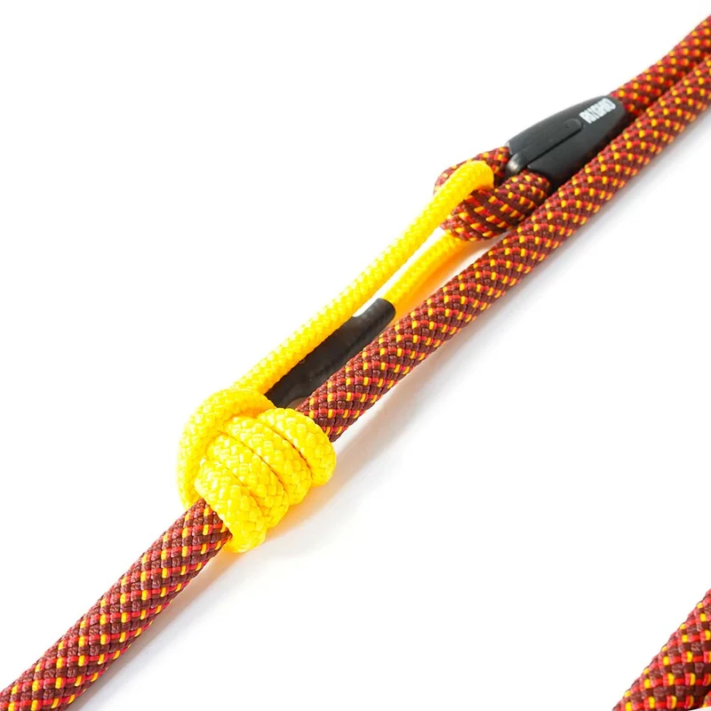 Laisse pour chien en corde et mousqueton d'escalade