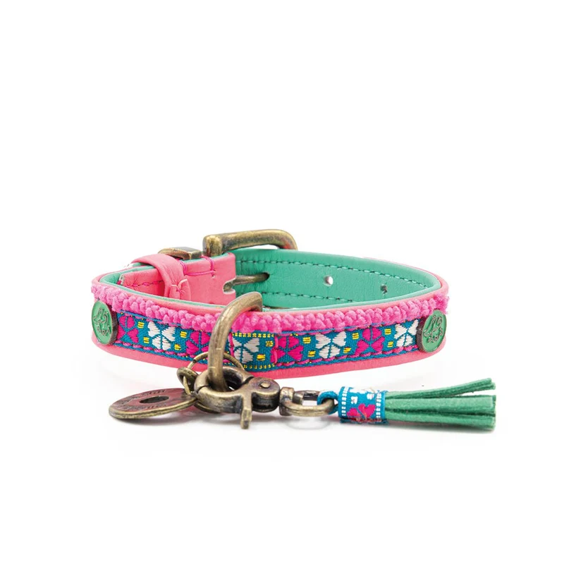 Collier mini chien Molly