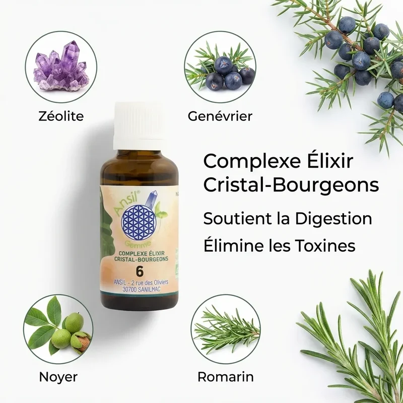Complexe bio de Zéolite, Genévrier, Noyer et Romarin - 30 ml - Ansil