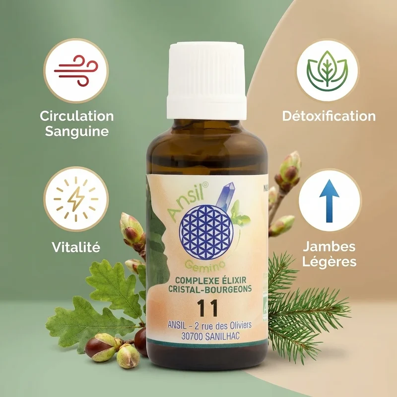 Complexe bio Grenat, Chêne, Marronnier d’Inde et Sapin - 30 ml - Ansil