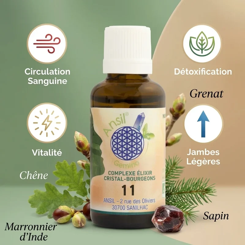 Complexe bio Grenat, Chêne, Marronnier d’Inde et Sapin - 30 ml - Ansil