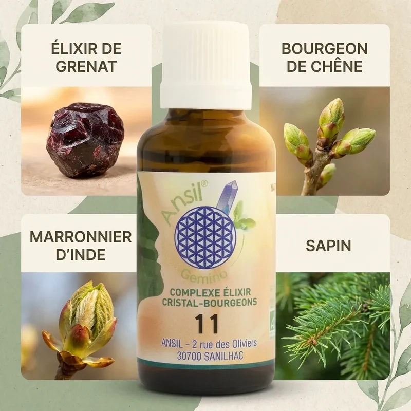Complexe bio Grenat, Chêne, Marronnier d’Inde et Sapin - 30 ml - Ansil