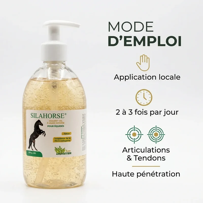 Silahorse - Gel pour Articulations, Tendons, Blessures du Cheval - Labo Demeter