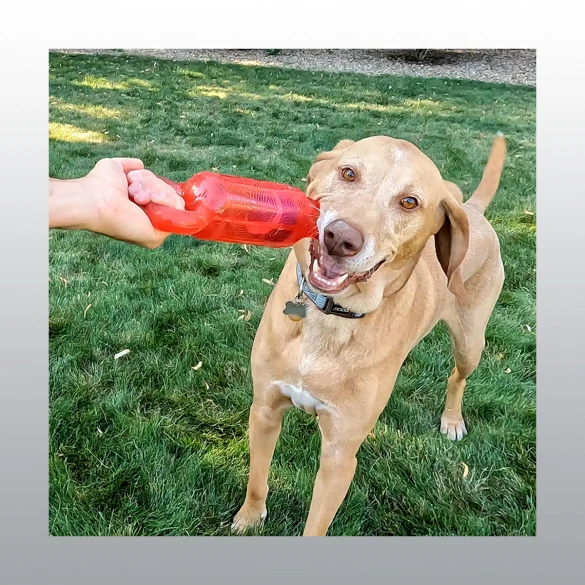 Jouet Jumbler Tug pour chien