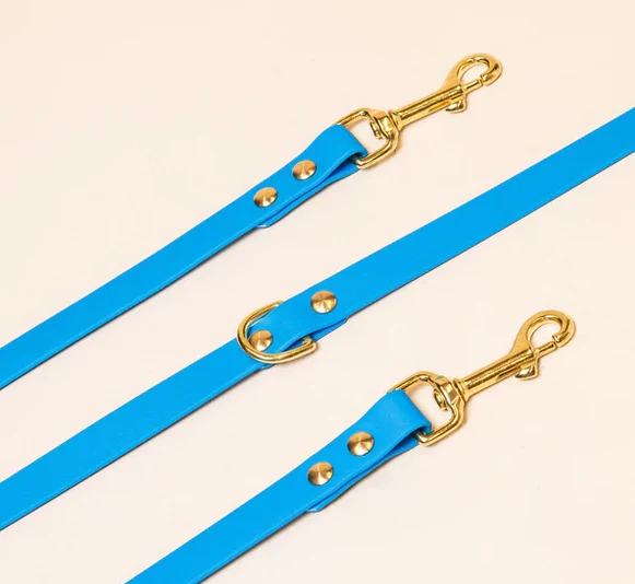 Laisse pour chien en biothane