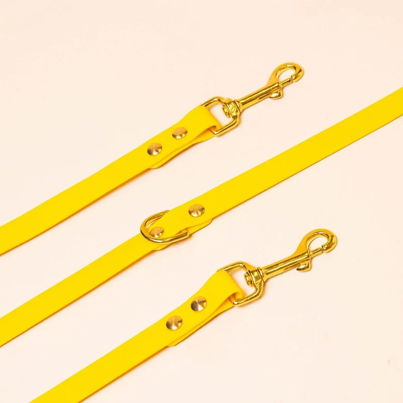 Laisse pour chien en biothane