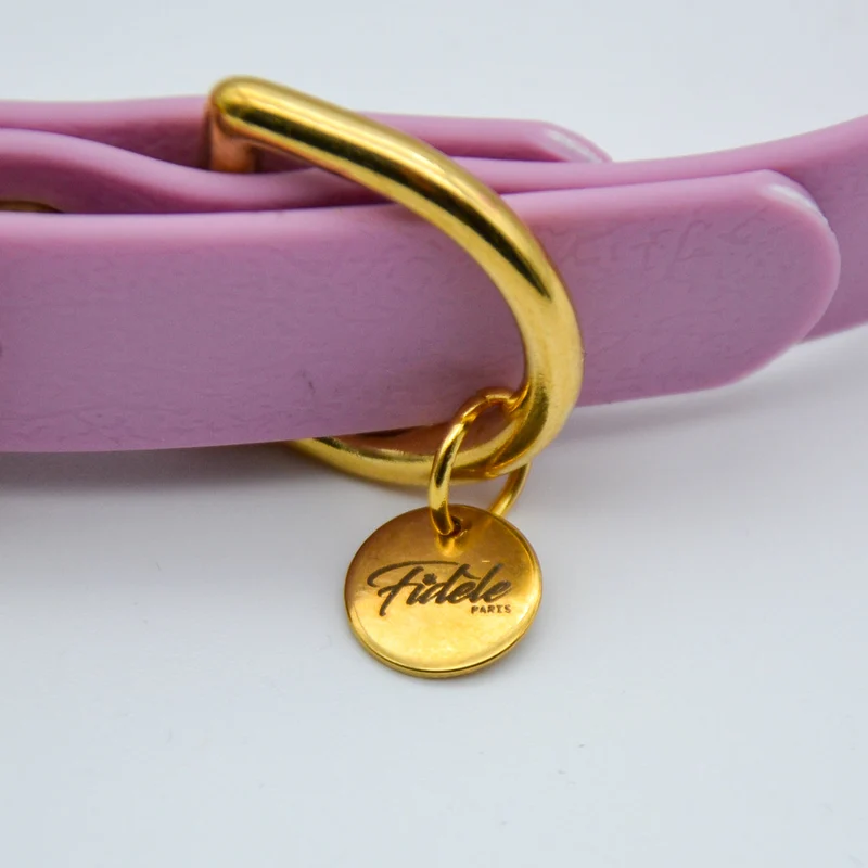 Collier pour chien en Biothane L'aventurier
