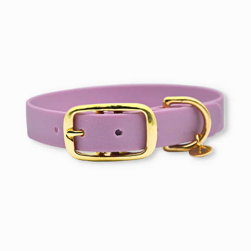 Collier pour chien en Biothane L'aventurier