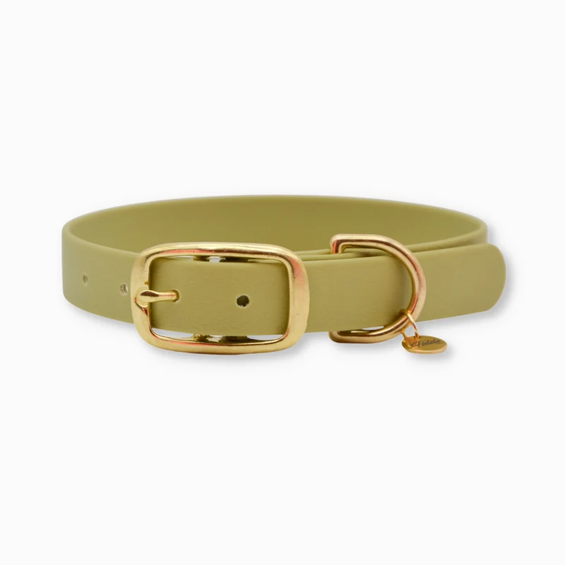 Collier pour chien en Biothane L'aventurier