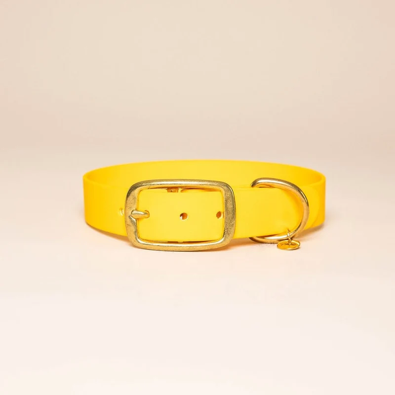 Collier pour chien en Biothane L'aventurier
