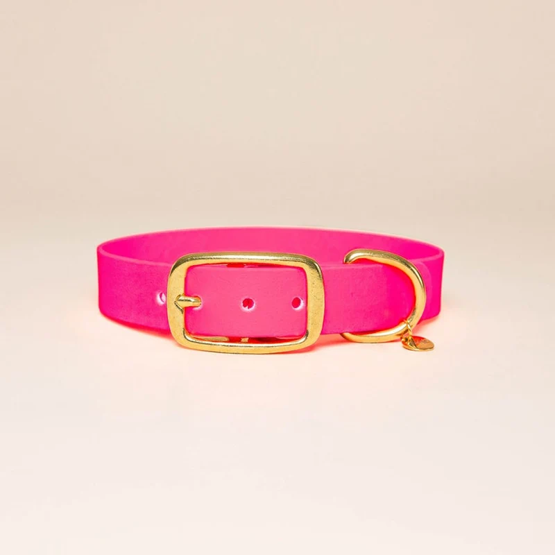 Collier pour chien en Biothane L'aventurier