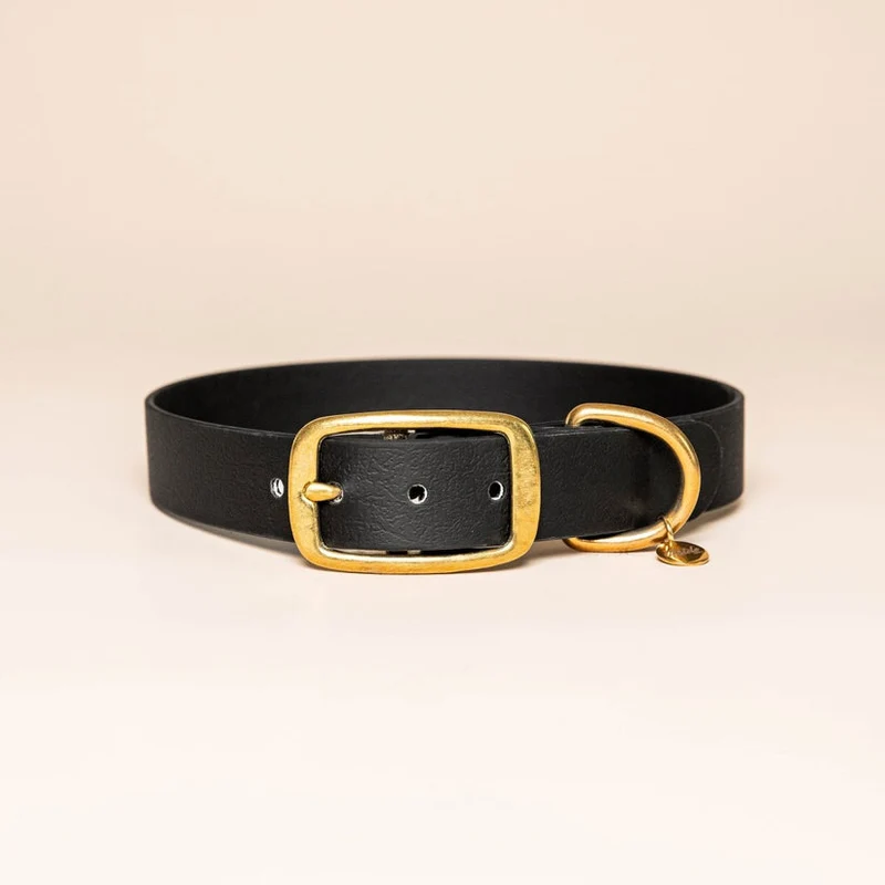 Collier pour chien en Biothane L'aventurier
