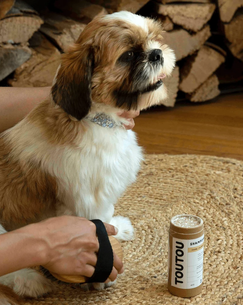 Shampoing sec pour chien Bio