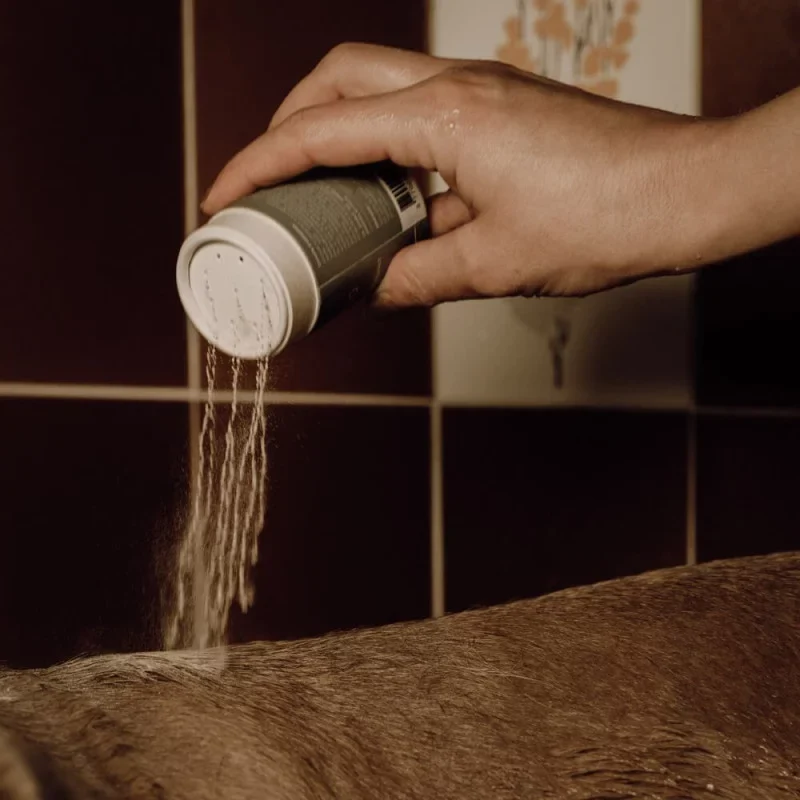 Shampoing poudre moussant doux et écologique