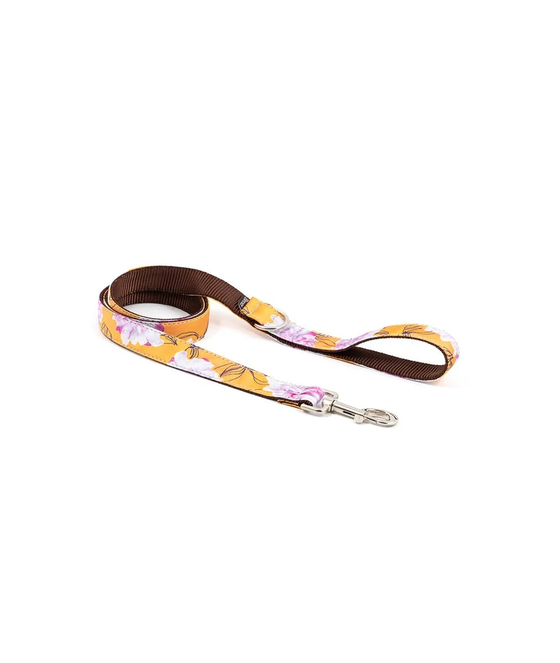 Collier pour chien Teia