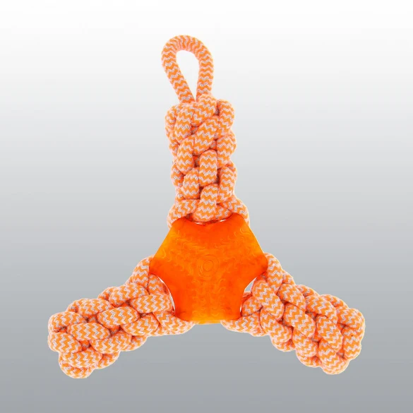Boomerang tresse pour chien