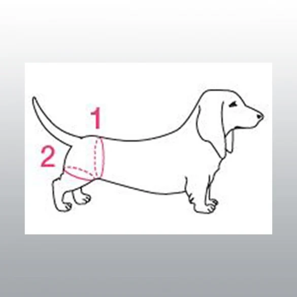 Harnais de maintien handy canis