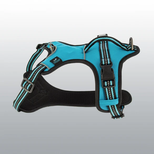 Harnais Dynamic coloré pour chien
