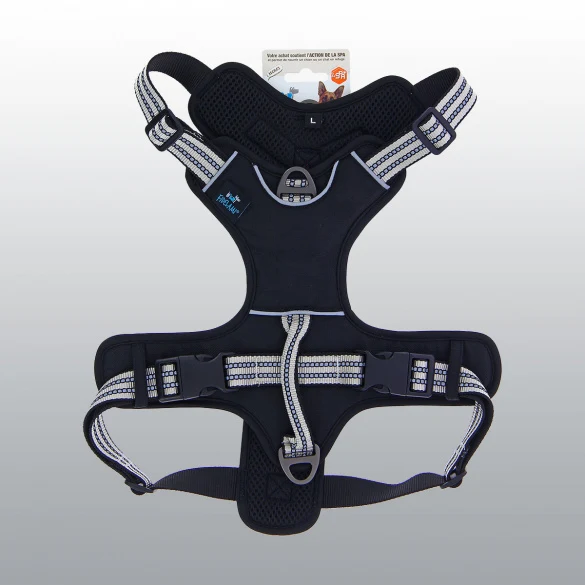 Harnais Dynamic coloré pour chien