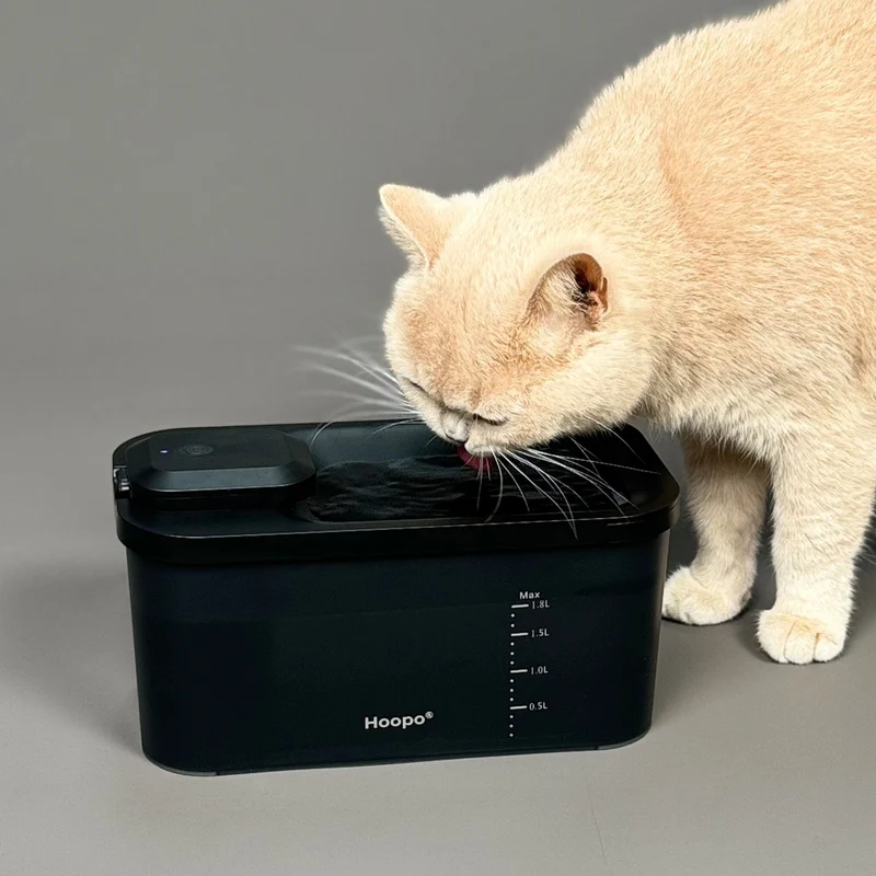 Fontaine à eau pour chat sans fil silencieuse