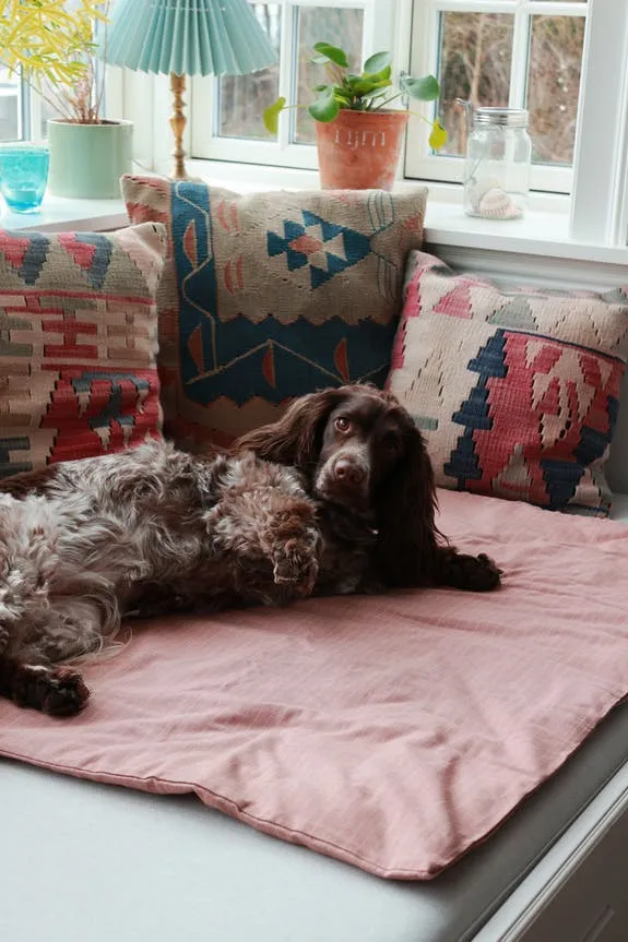 Duvet pour chien en coton bio